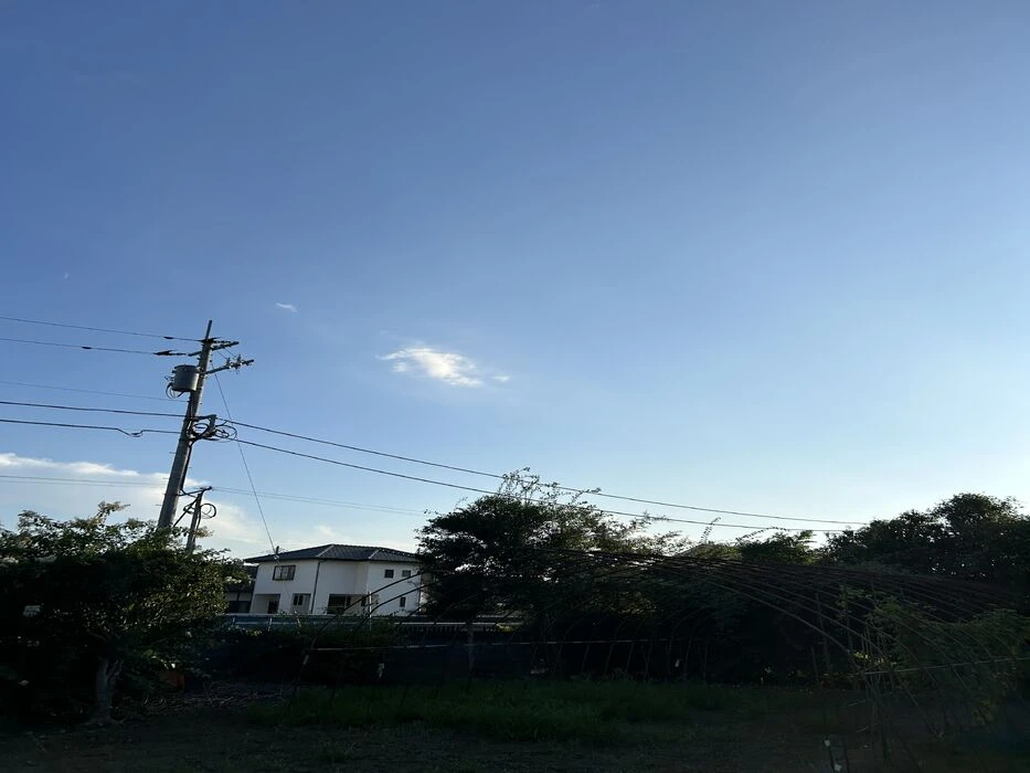 ブログ画像
