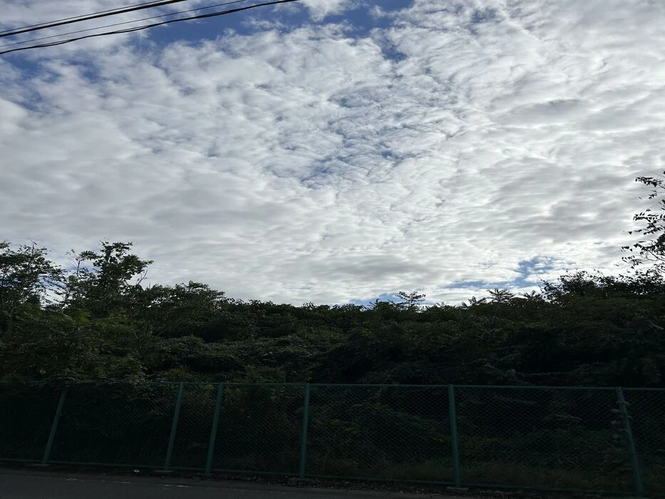 ブログ画像
