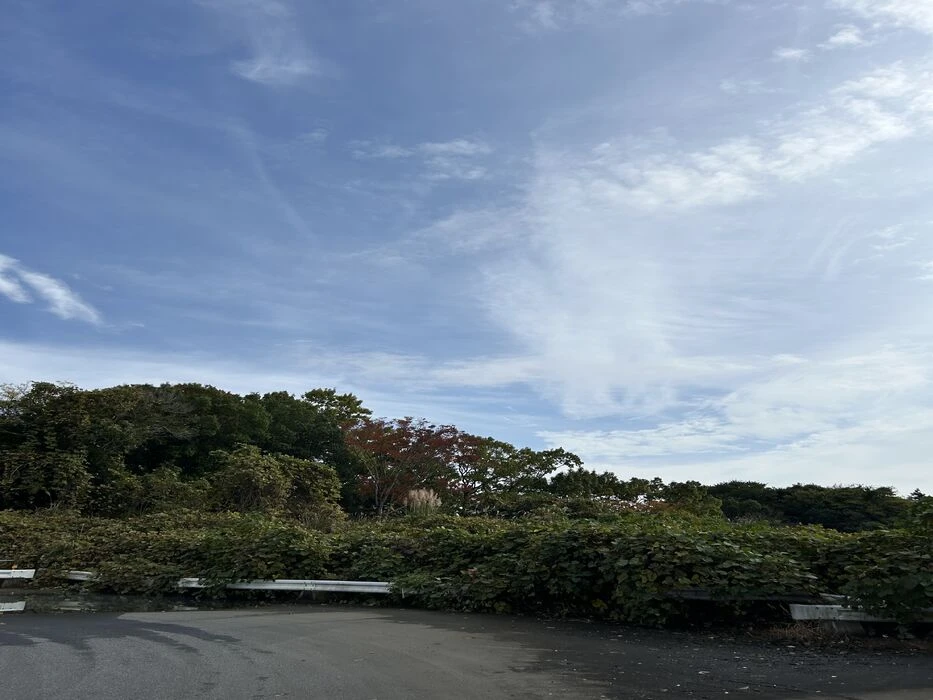 ブログ画像