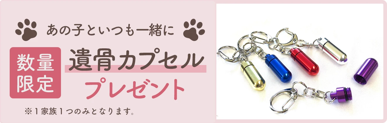 遺骨カプセルプレゼント